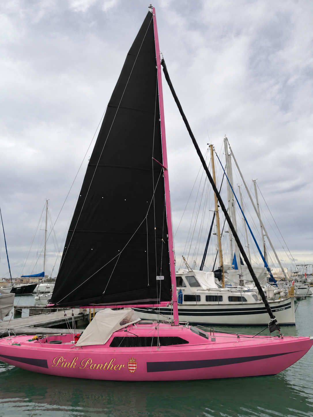 Pink Panther im Hafen: pinker Rumpf, schwarzes Segel und goldener Schriftzug mit Monaco-Schild. Das gesamte Boot ist sichtbar.